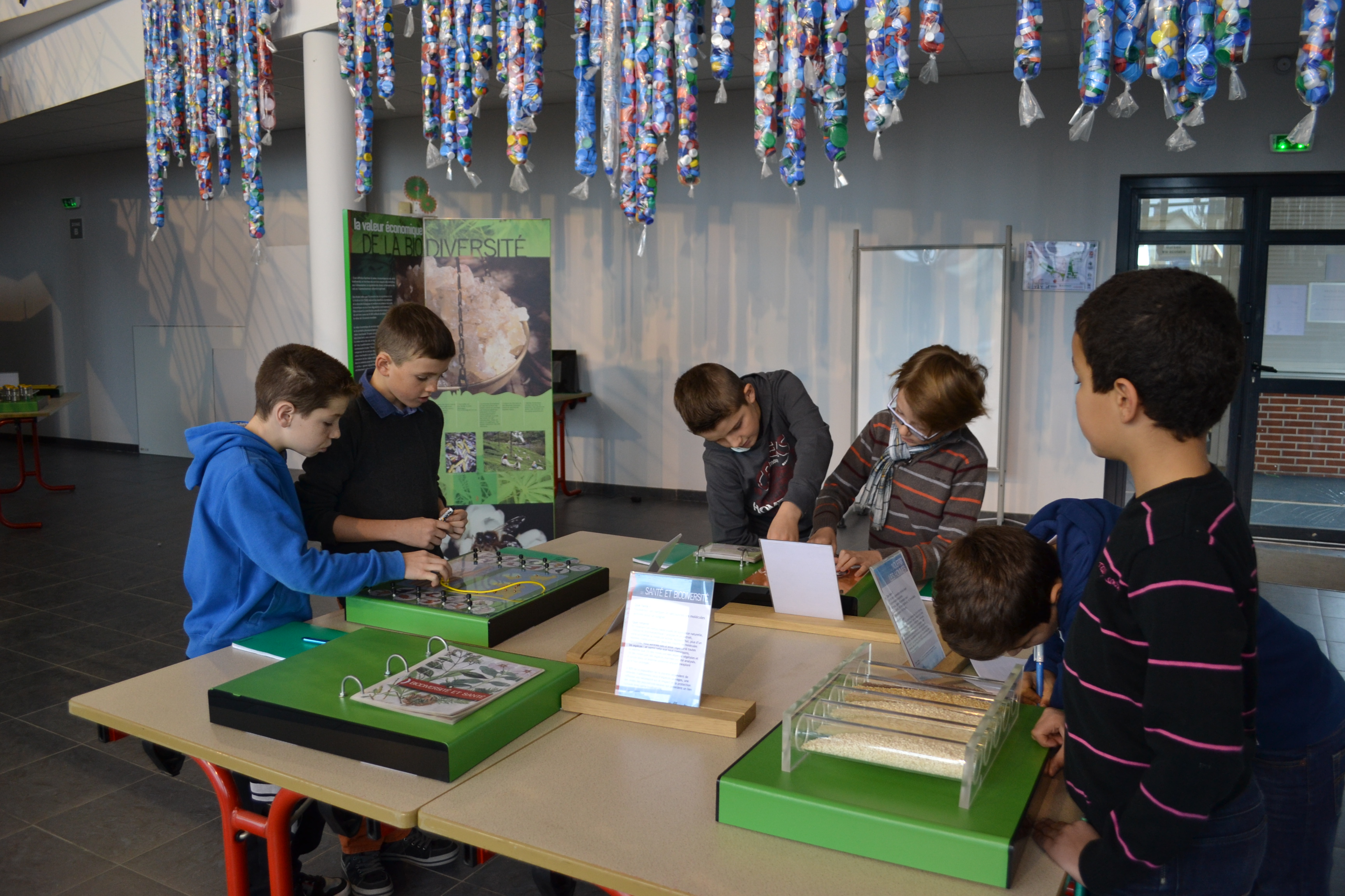 Ecole Jeanne d'arc Sully CM1-CM2 découverte de la biodiversité 2 ...